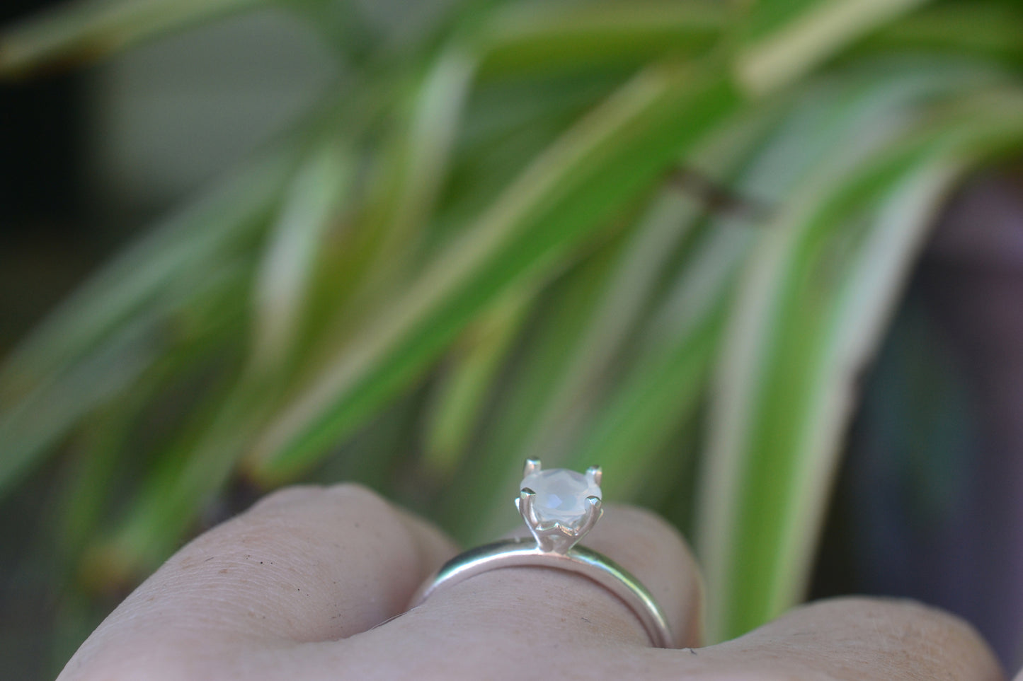 Prong Set White Moonstone Ring in Sterling