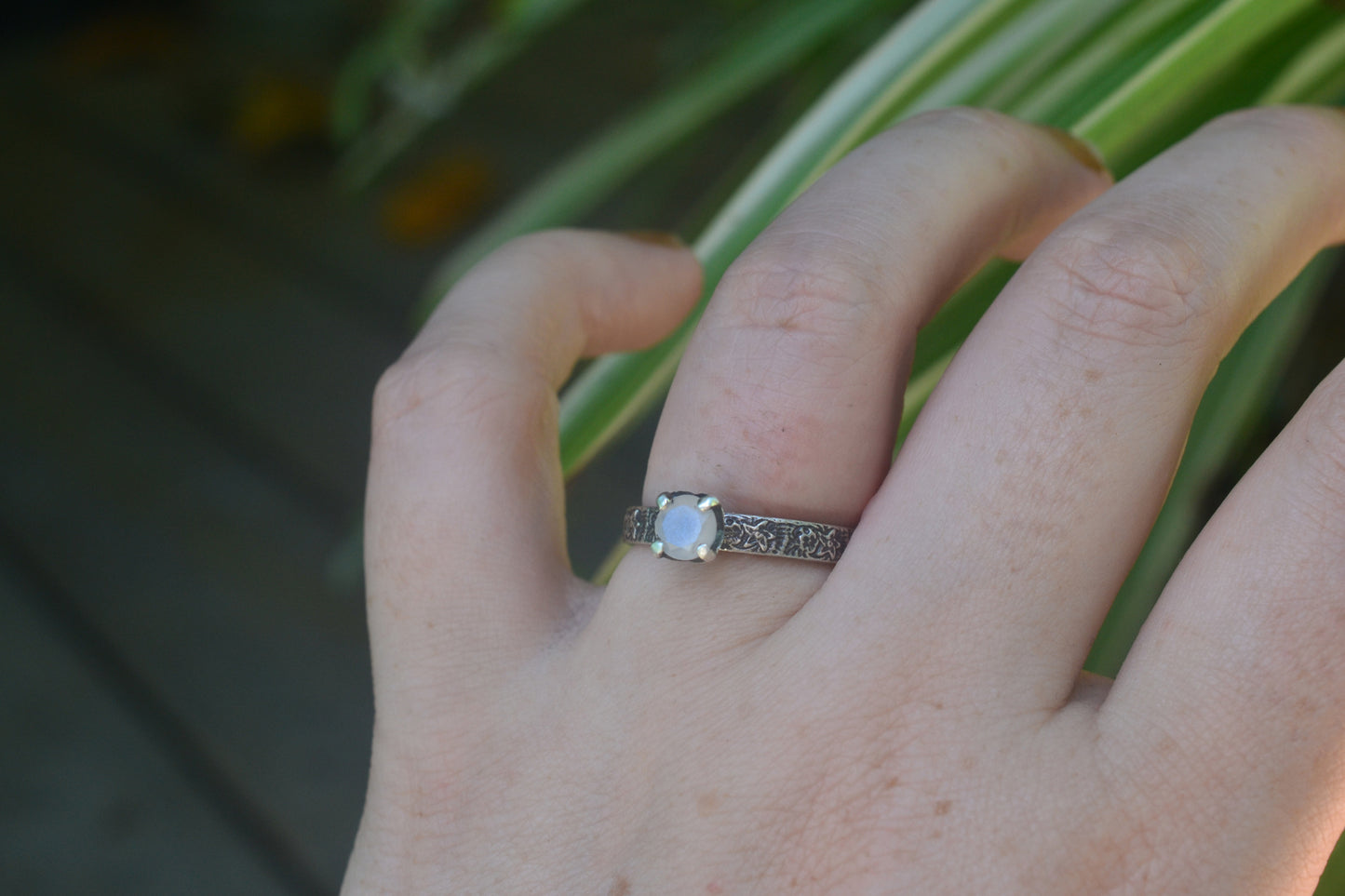 Faceted Moonstone Poesy Ring in Oxidised SIlver