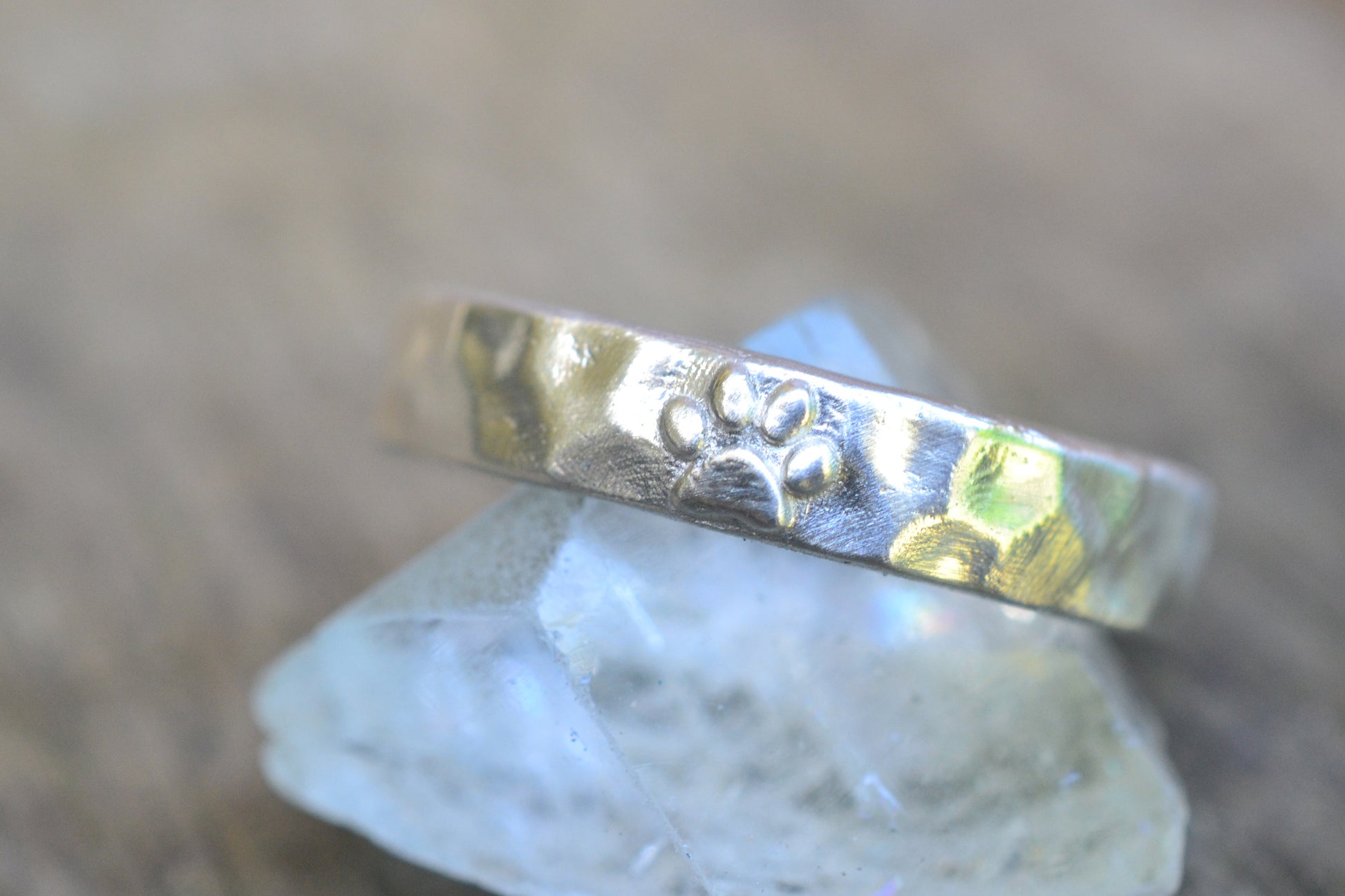 4mm Wide Silver Band With Paw Print Symbol