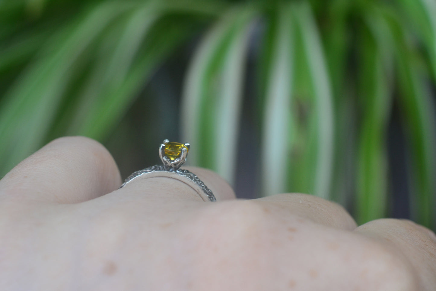 5mm Round Faceted Yellow Sapphire Ring in Sterling