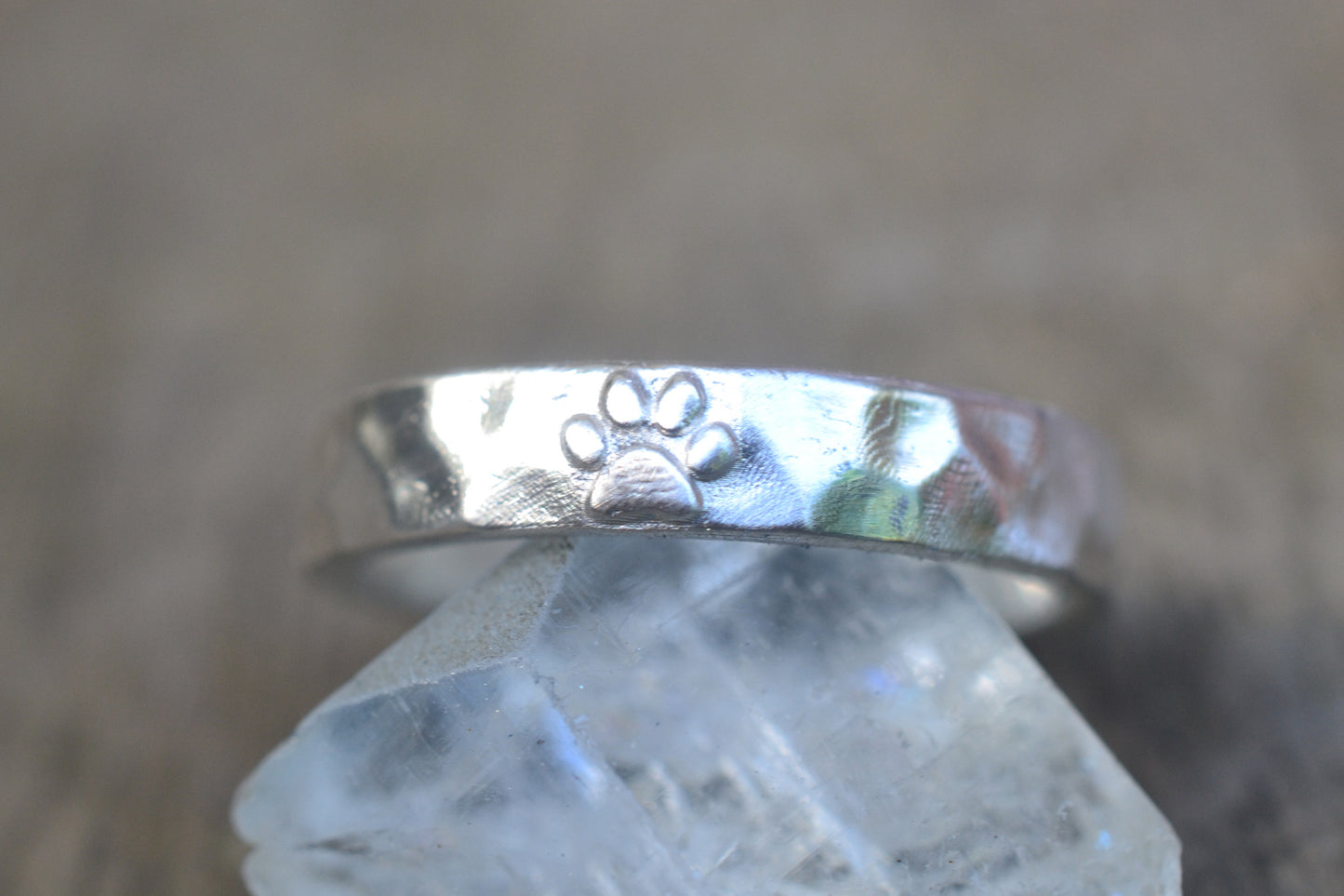 4mm 925 Silver Band With Paw Print Charm